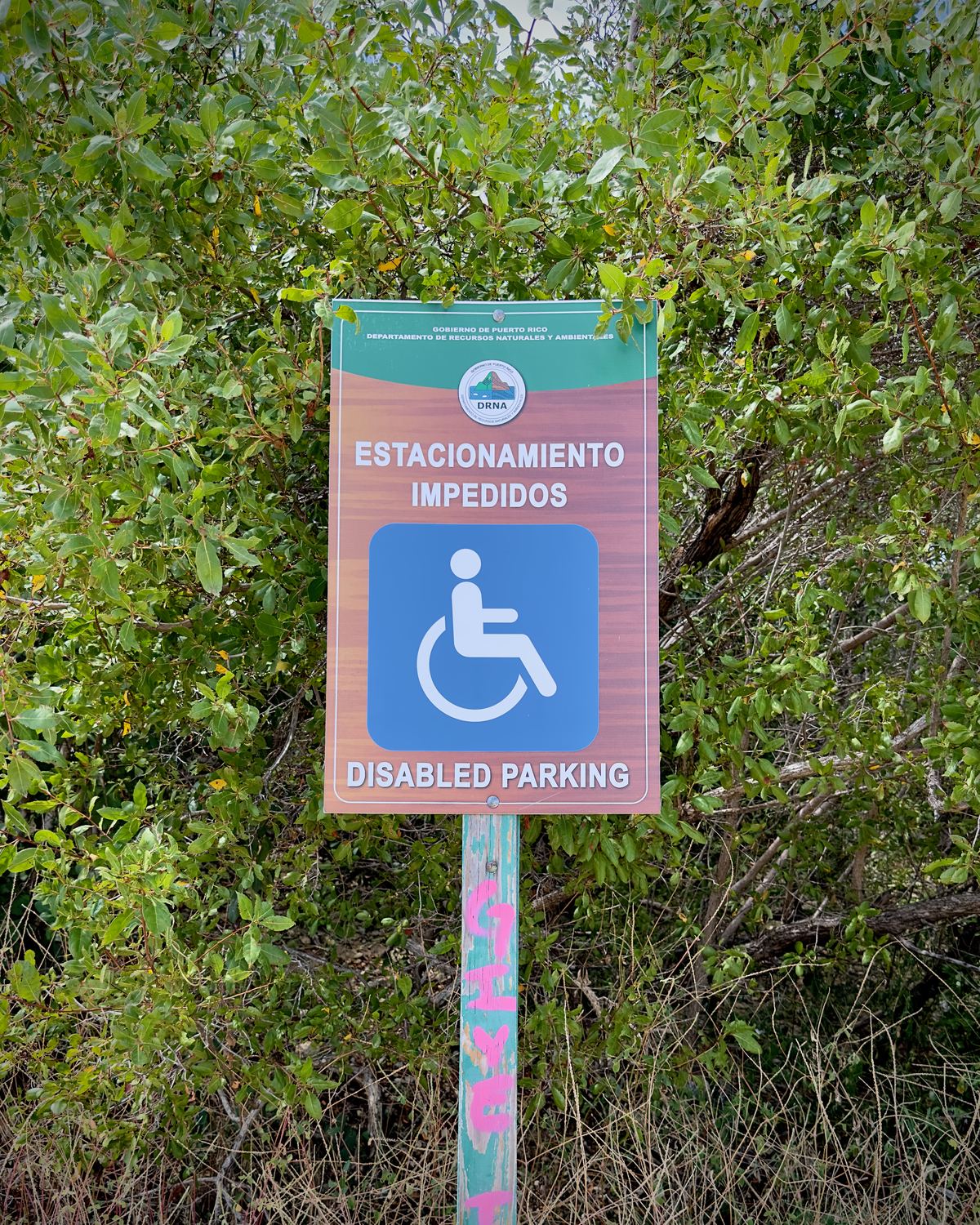 Letrero oficial del DRNA de Estacionamiento Impedidos instalado frente a un matorral, sin espacio accesible, 9 de abril de 2024